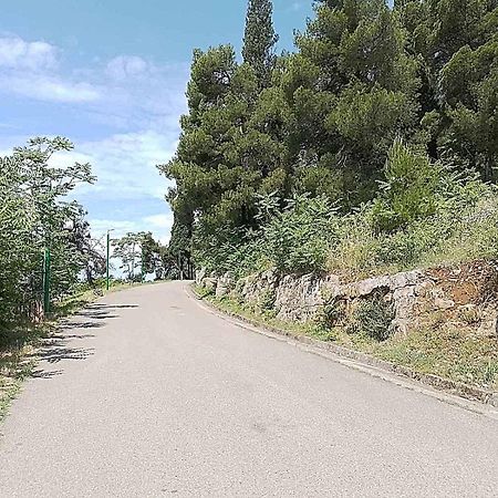 Aga Apartman Подгорица Экстерьер фото