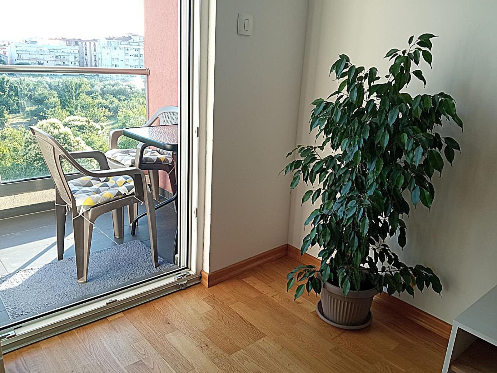 Aga Apartman Подгорица Экстерьер фото